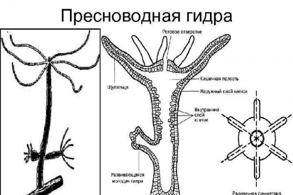 Фраза